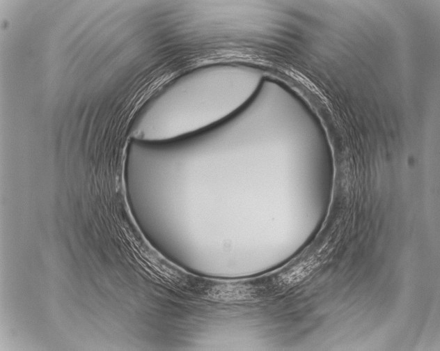 X0000059240929200510140816