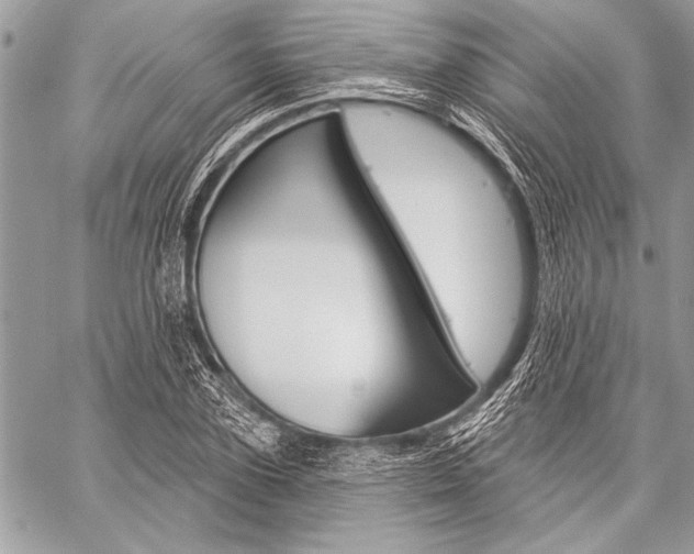 X0000059240931200510140816