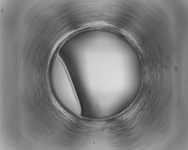 X0000059240939200510140817