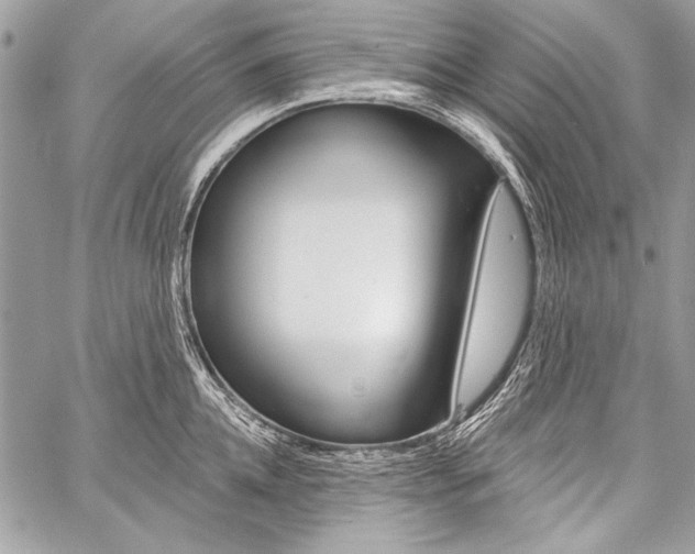 X0000059240952200510140817
