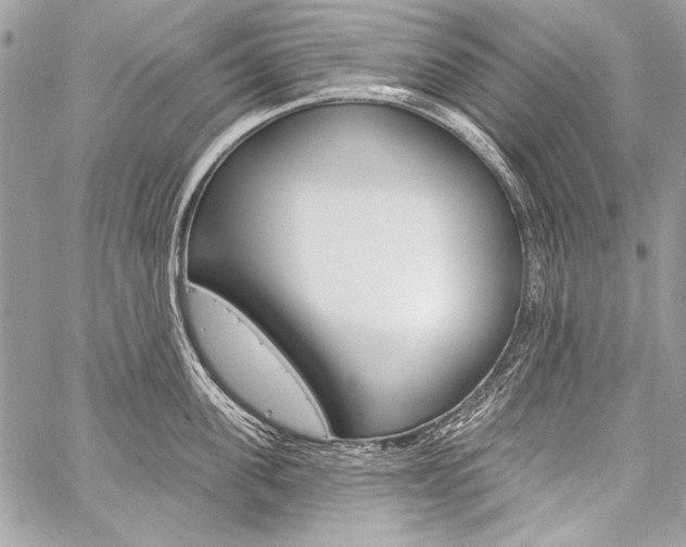 X0000059240955200510140817