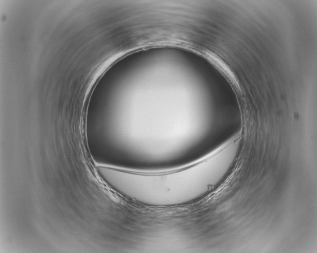 X0000059240956200510140817