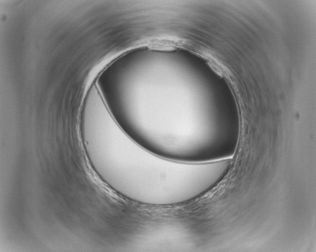X0000059240960200510140817