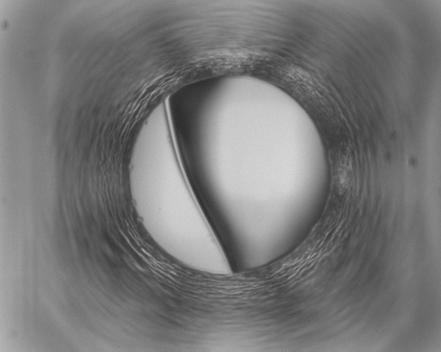 X0000059240964200510140816