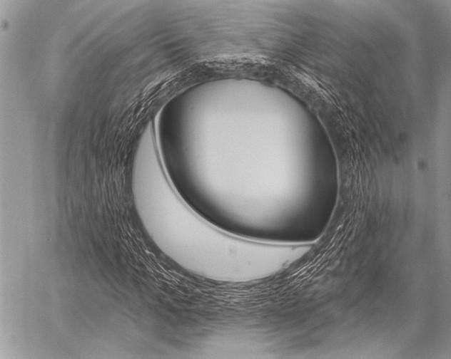 X0000059240965200510140816
