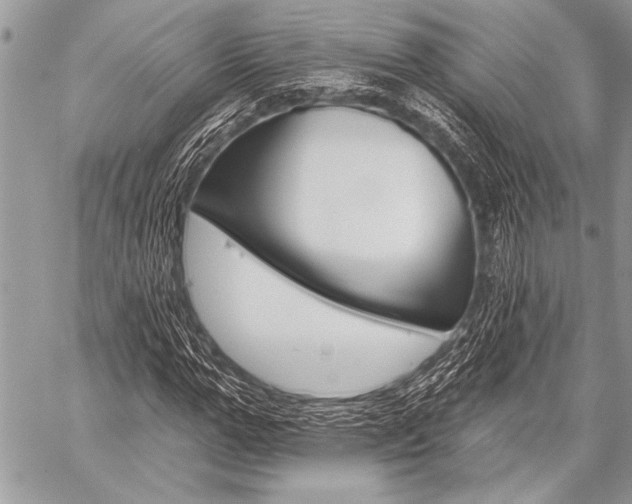 X0000059240967200510140816