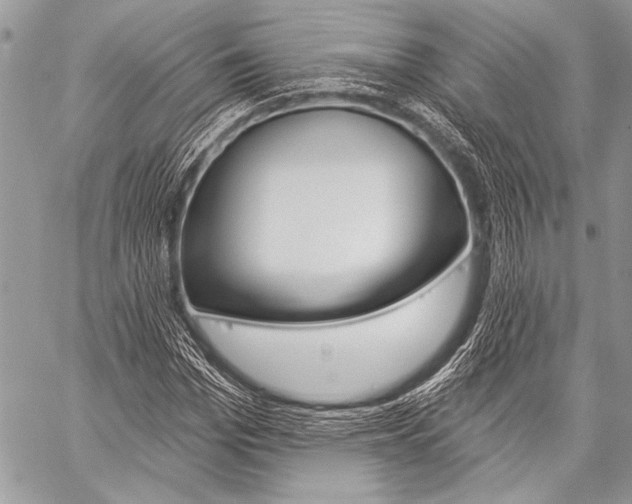 X0000059240969200510140816