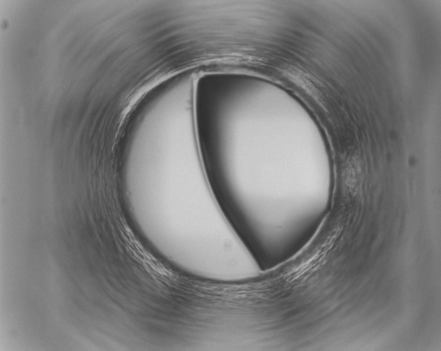 X0000059240971200510140816