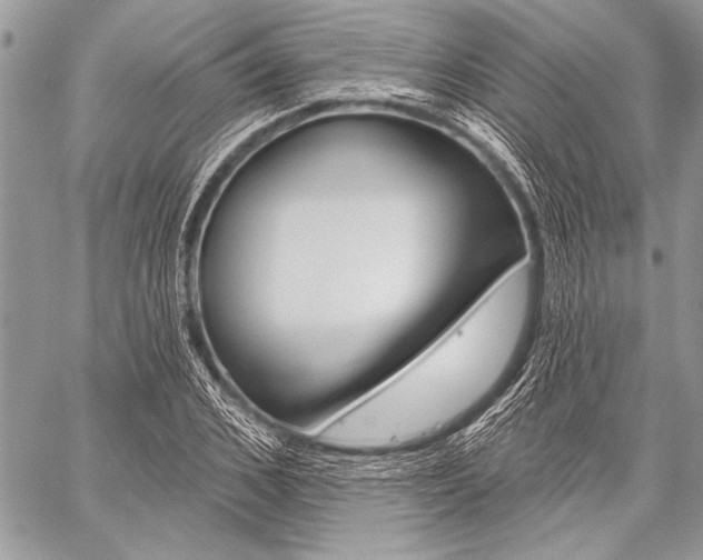 X0000059240976200510140816