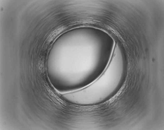 X0000059240977200510140816