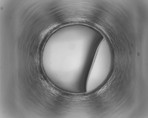 X0000059240979200510140816