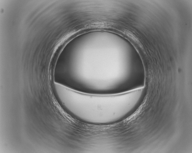 X0000059240981200510140816