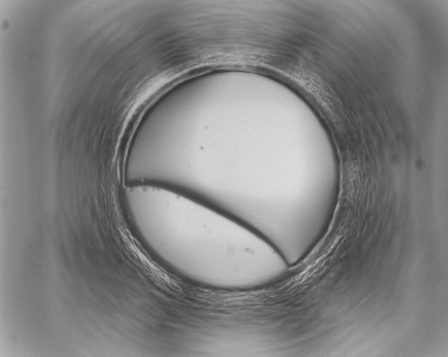X0000059240982200510140816