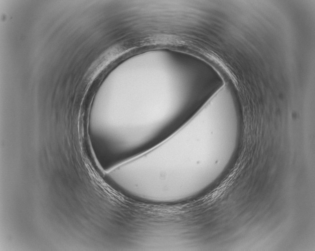 X0000059240983200510140816