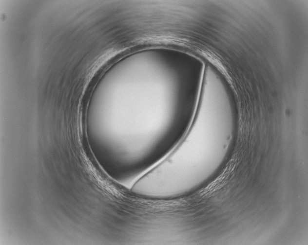 X0000059240984200510140816