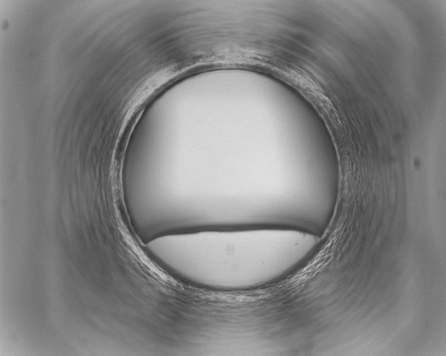 X0000059240990200510140816