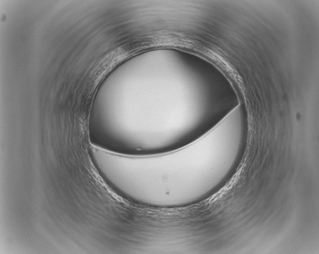 X0000059240993200510140816