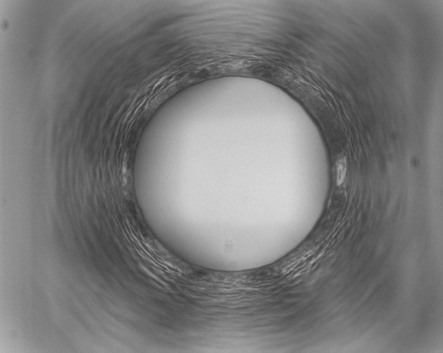 X0000059241011200510140815