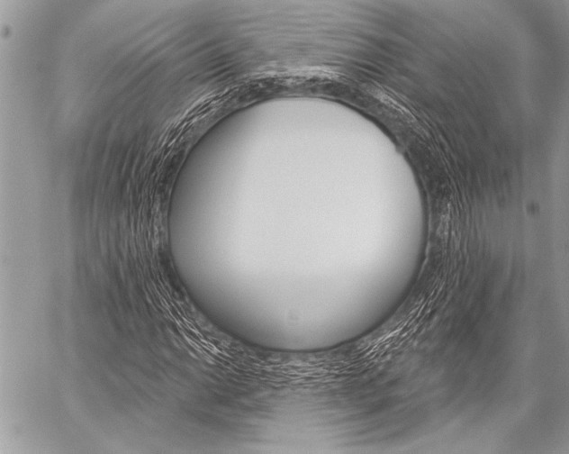 X0000059241014200510140815
