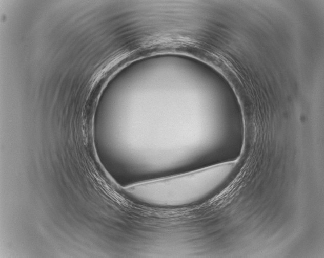 X0000059241018200510140815
