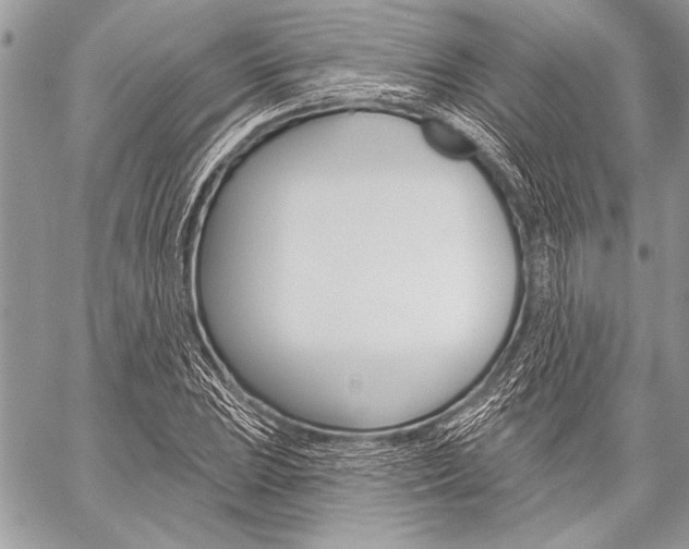 X0000059241023200510140815