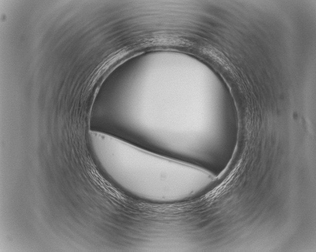 X0000059241025200510140815