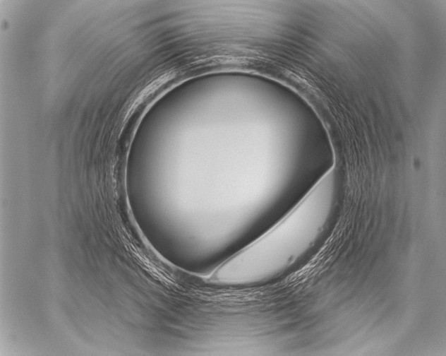 X0000059241026200510140815
