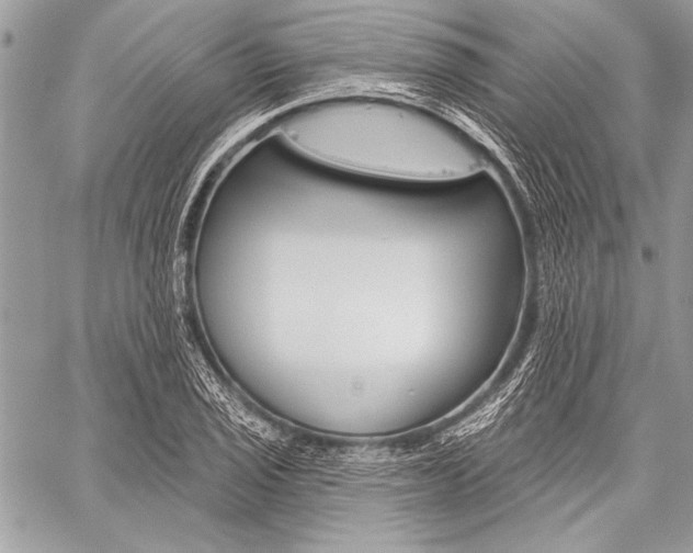 X0000059241029200510140815