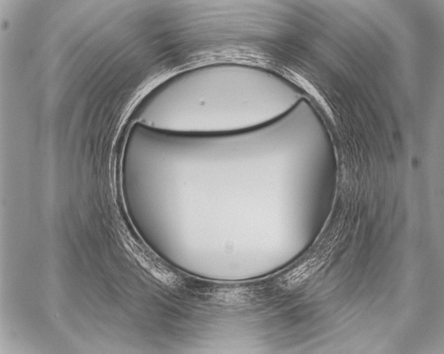 X0000059241035200510140815