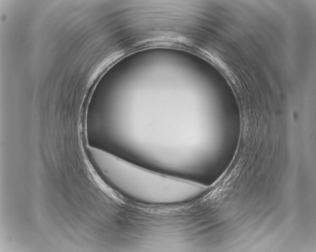 X0000059241042200510140815