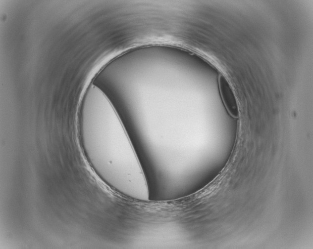 X0000059241056200510140815