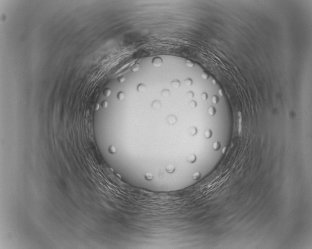 X0000059241059200510140815