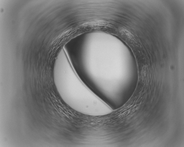 X0000059241062200510140815