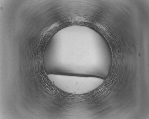 X0000059241063200510140815