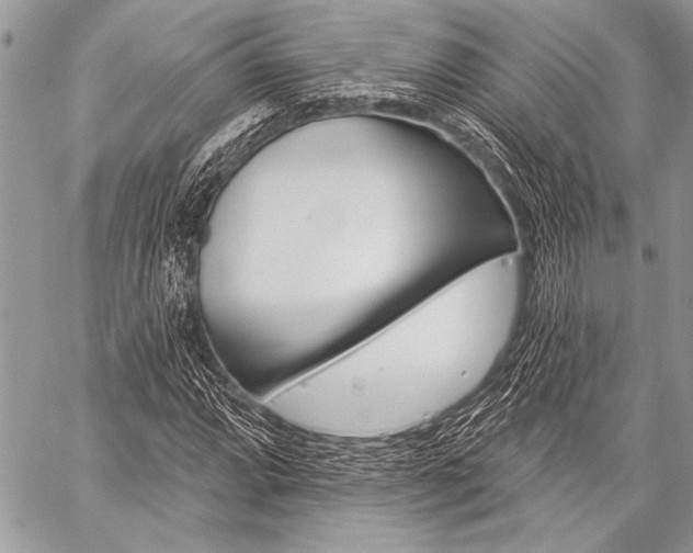 X0000059241064200510140814