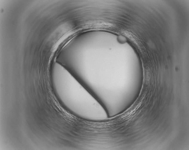 X0000059241071200510140814