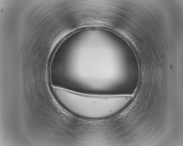 X0000059241085200510140814