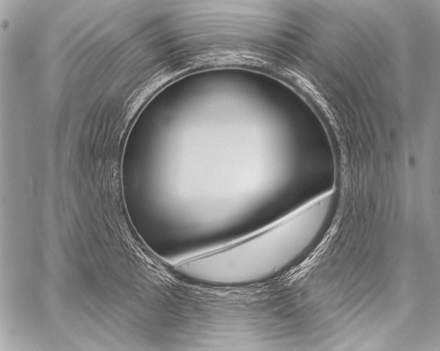 X0000059241089200510140814
