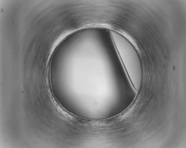 X0000059241102200510140814