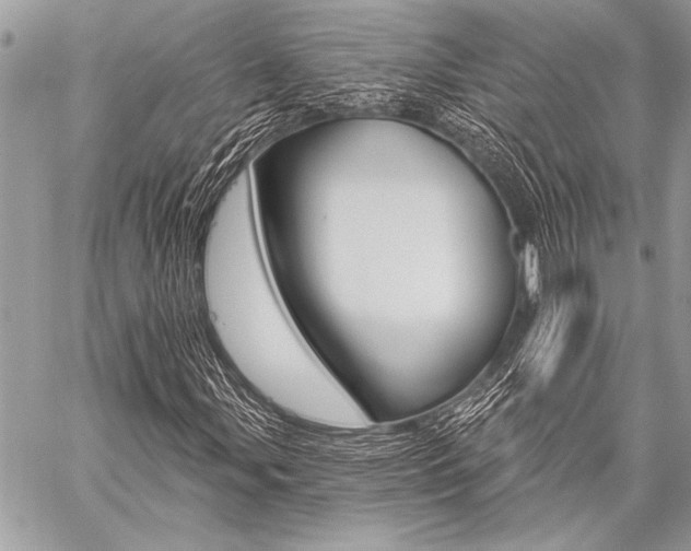 X0000059241107200510140813