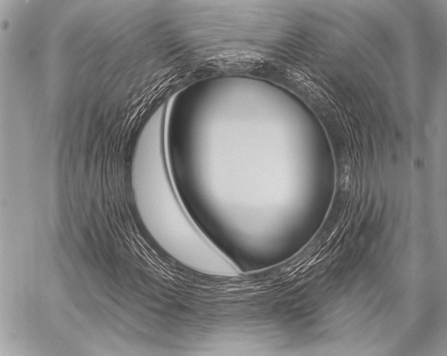 X0000059241108200510140813