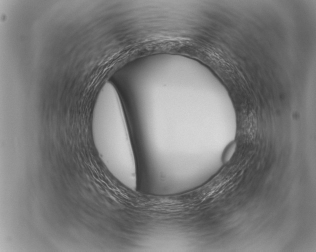 X0000059241109200510140813