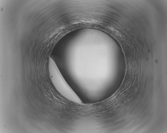 X0000059241110200510140813