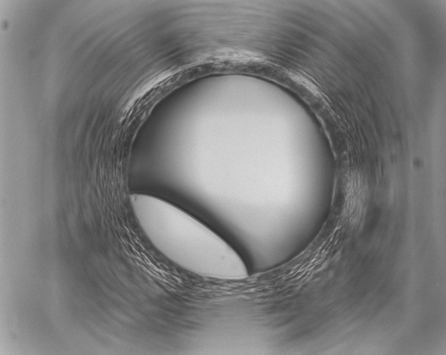 X0000059241112200510140813