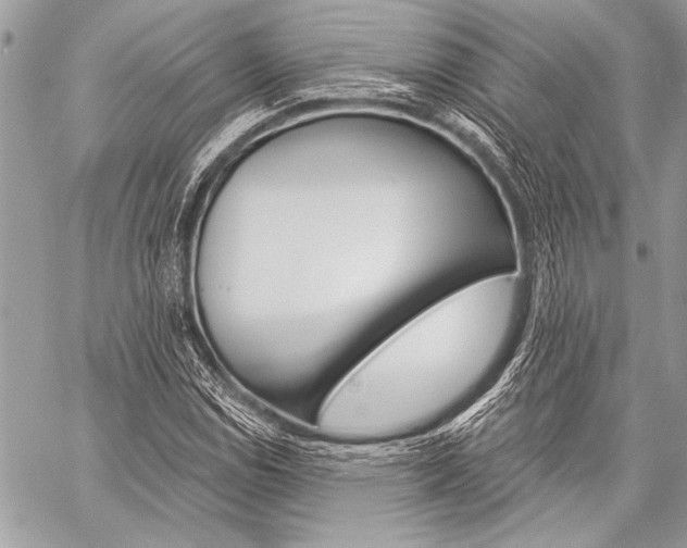X0000059241114200510140813