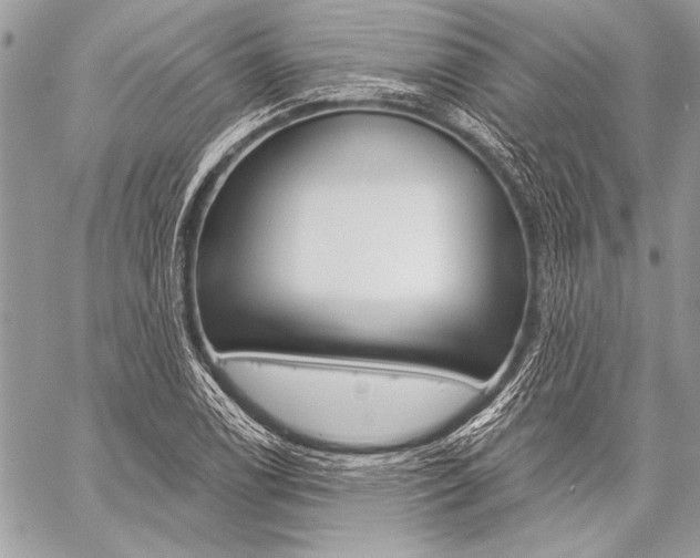 X0000059241122200510140813