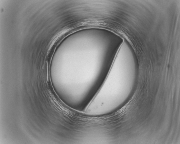X0000059241123200510140813