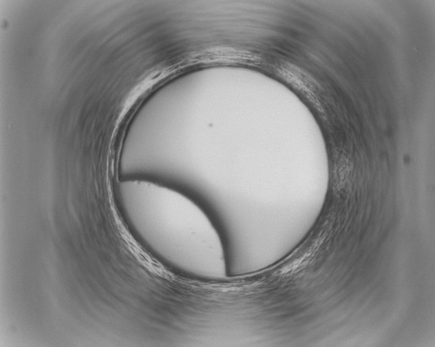 X0000059241130200510140813