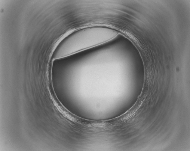 X0000059241134200510140814