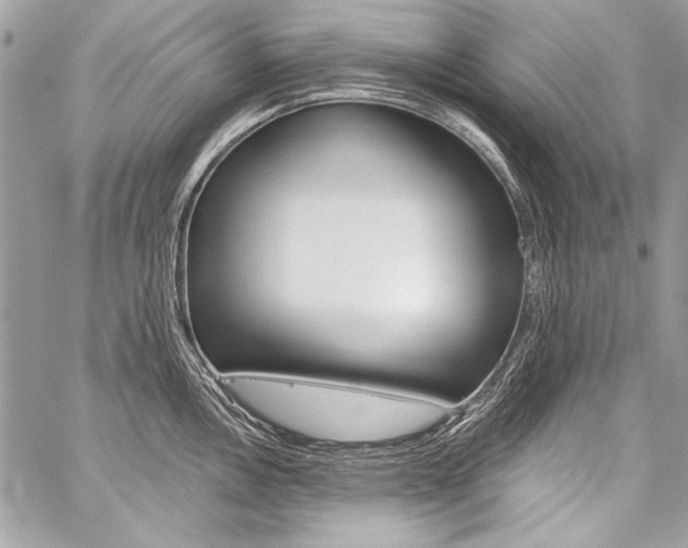 X0000059241146200510140814